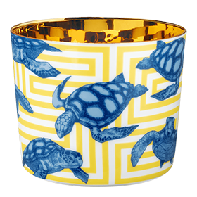 Sieger Goblet BEAUTIFUL CREATURES The Turtels