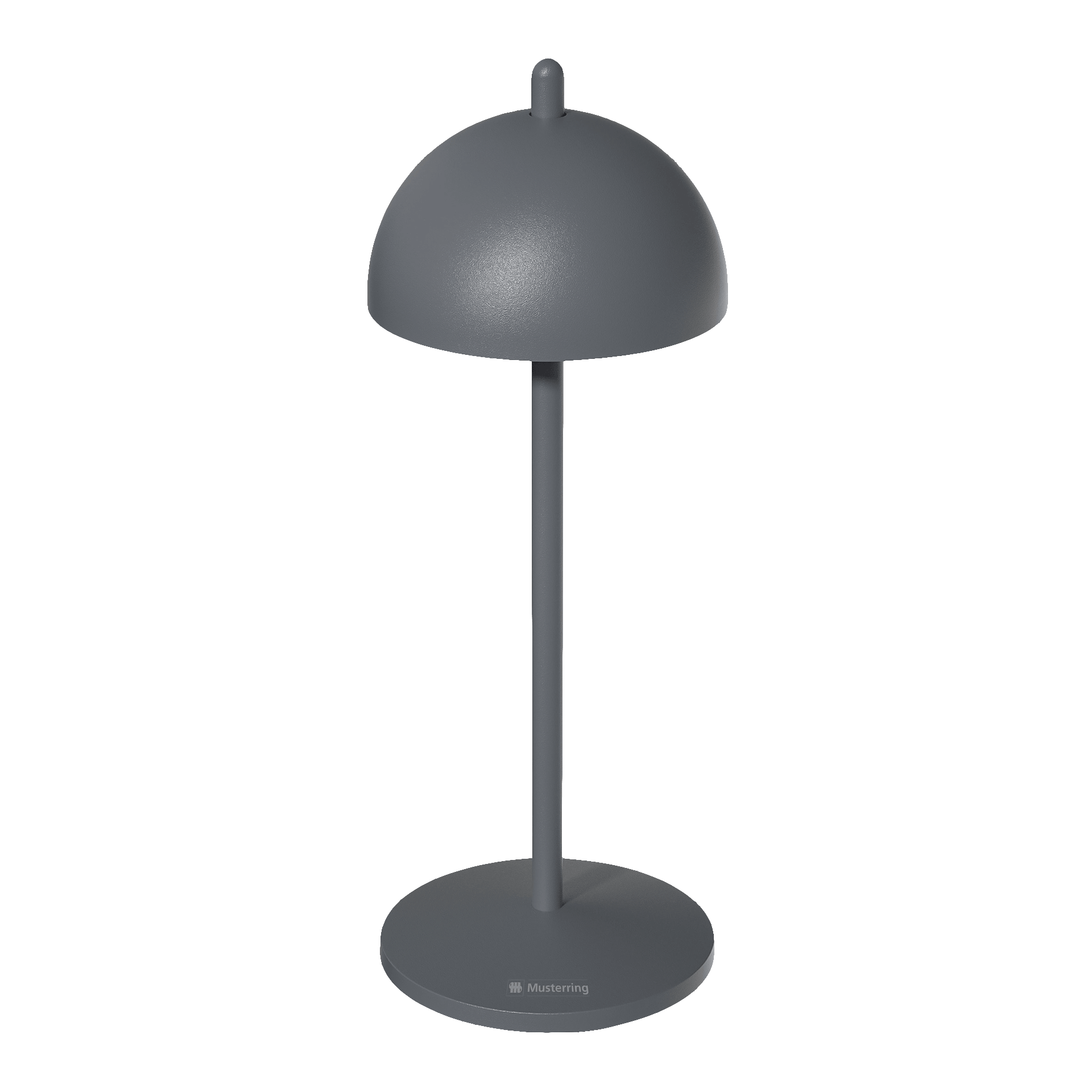 Musterring Outdoorleuchte LUNA anthrazit