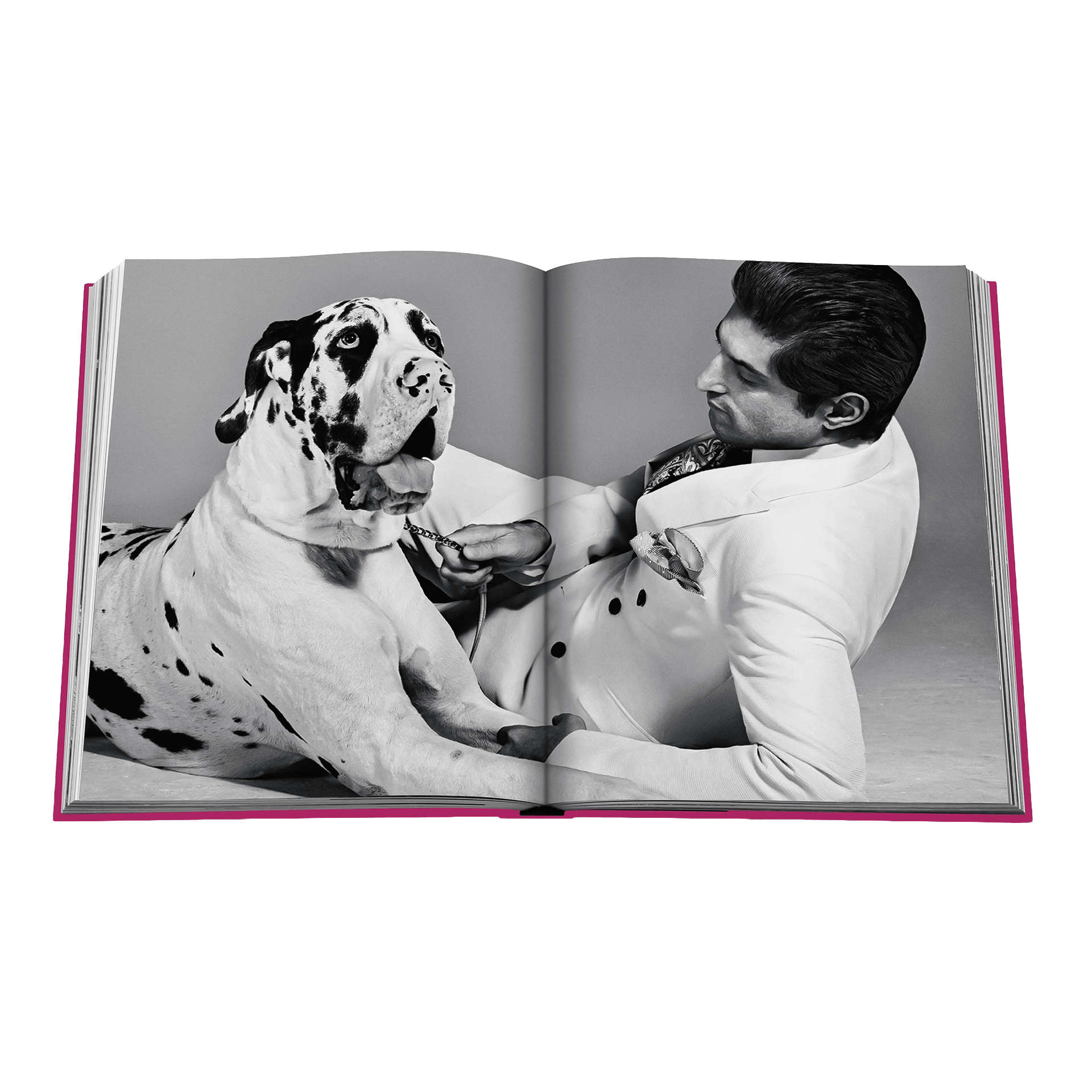 Coffee Table Book Chic Dogs