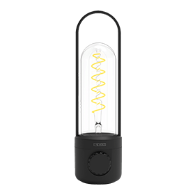 Newdes Outdoor Light Black
