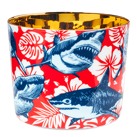 Sieger Goblet BEAUTIFUL CREATURES The Sharks