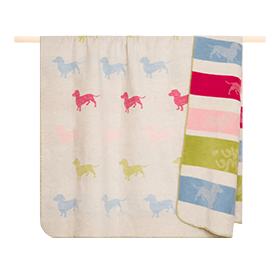 pad, DOG, Decke