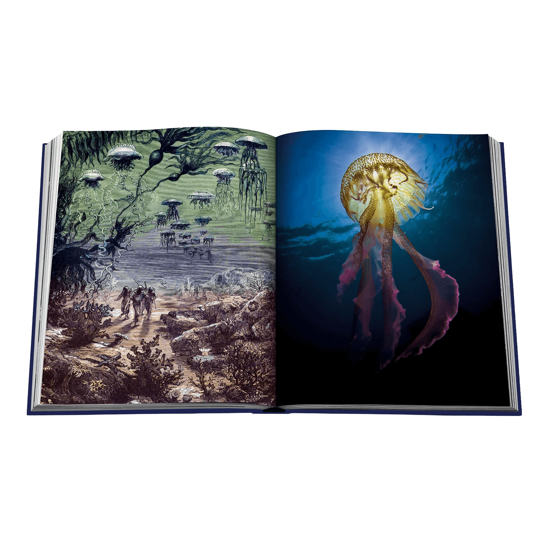 Assouline Coffee Table Book Wanderlust