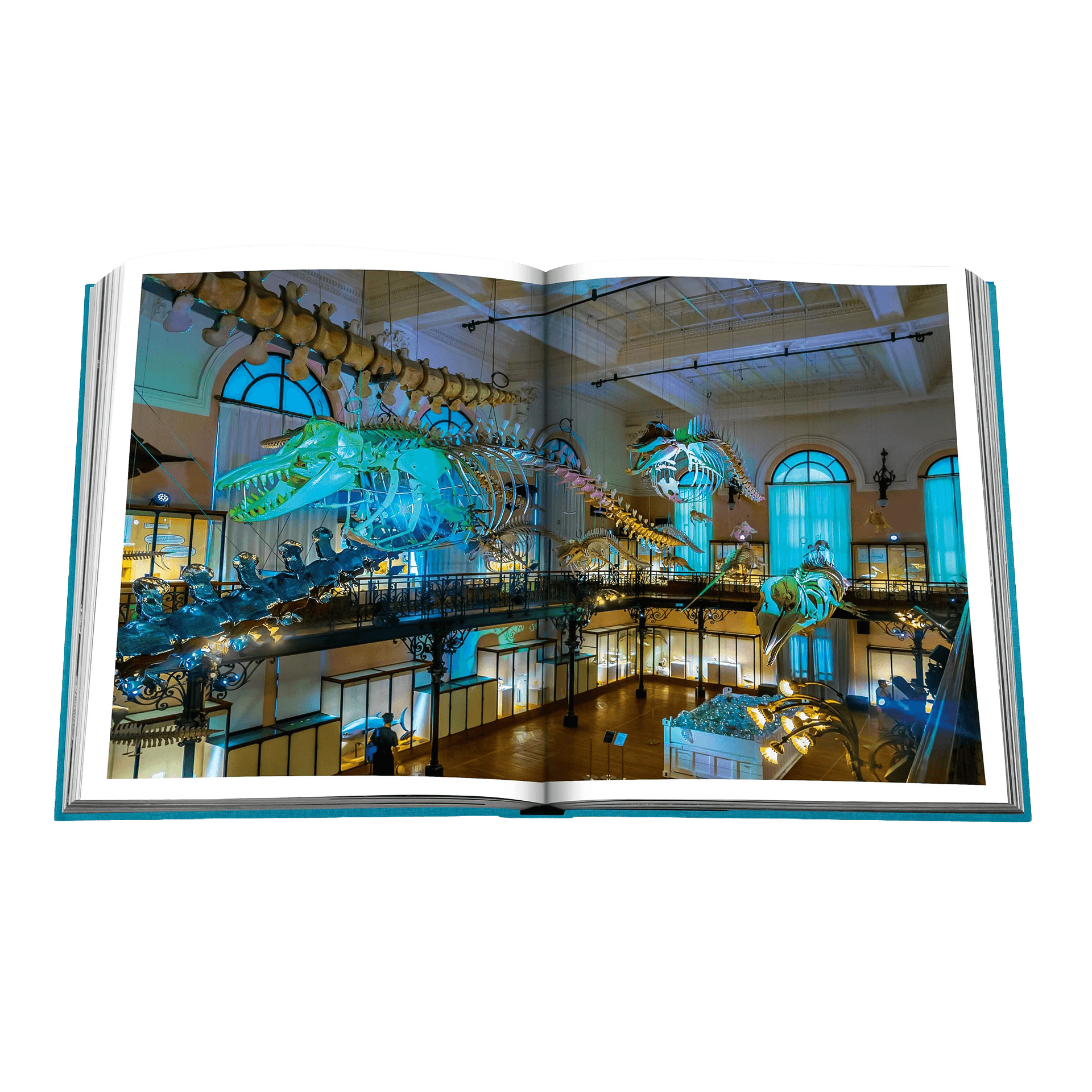 Assouline Coffee Table Book Monte Carlo