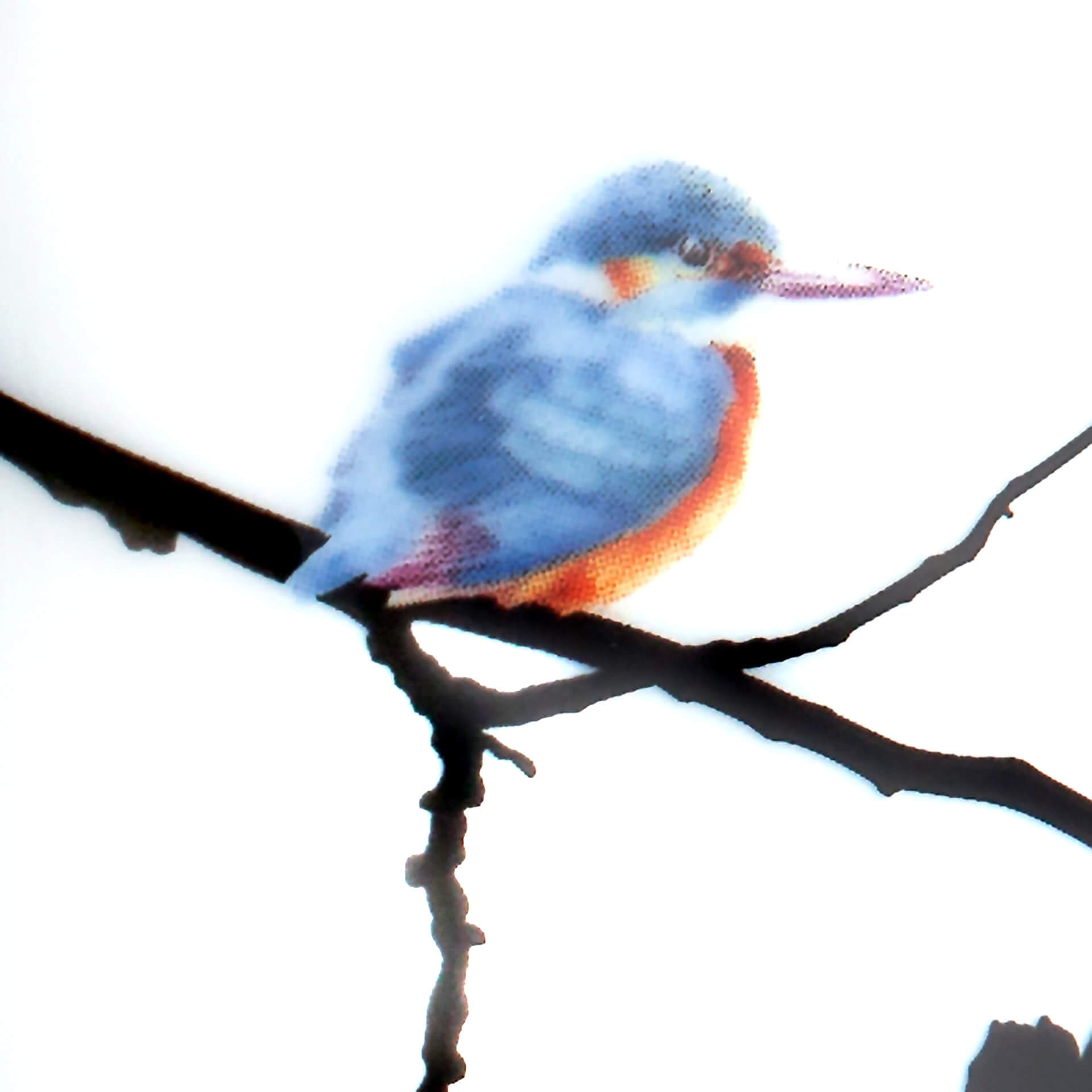 Meissen Henkelbecher Kingfisher