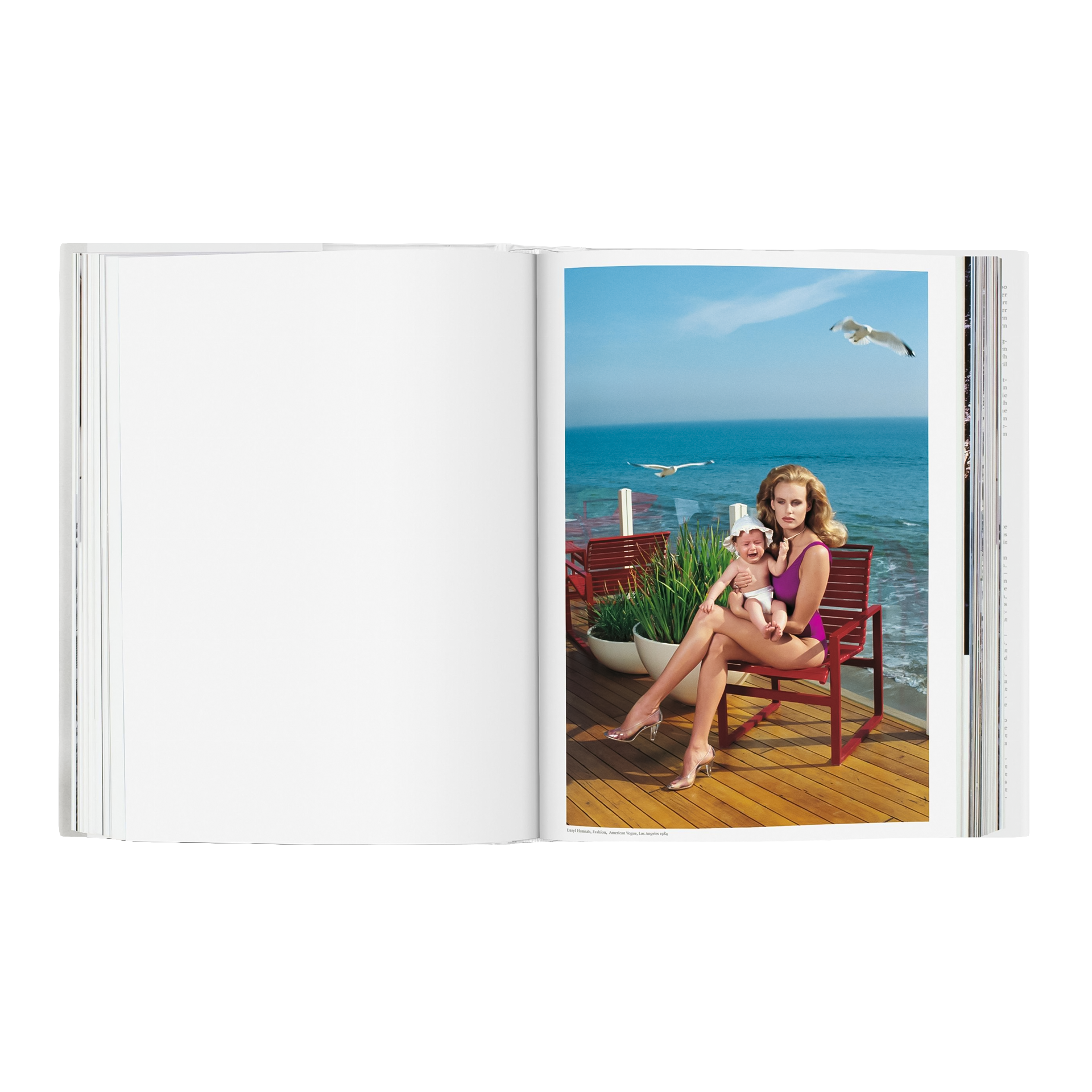 Coffee Table Book Helmut Newton. SUMO, bikini, strandstuhl, sonnenbrille, meerblick, frau mit baby
