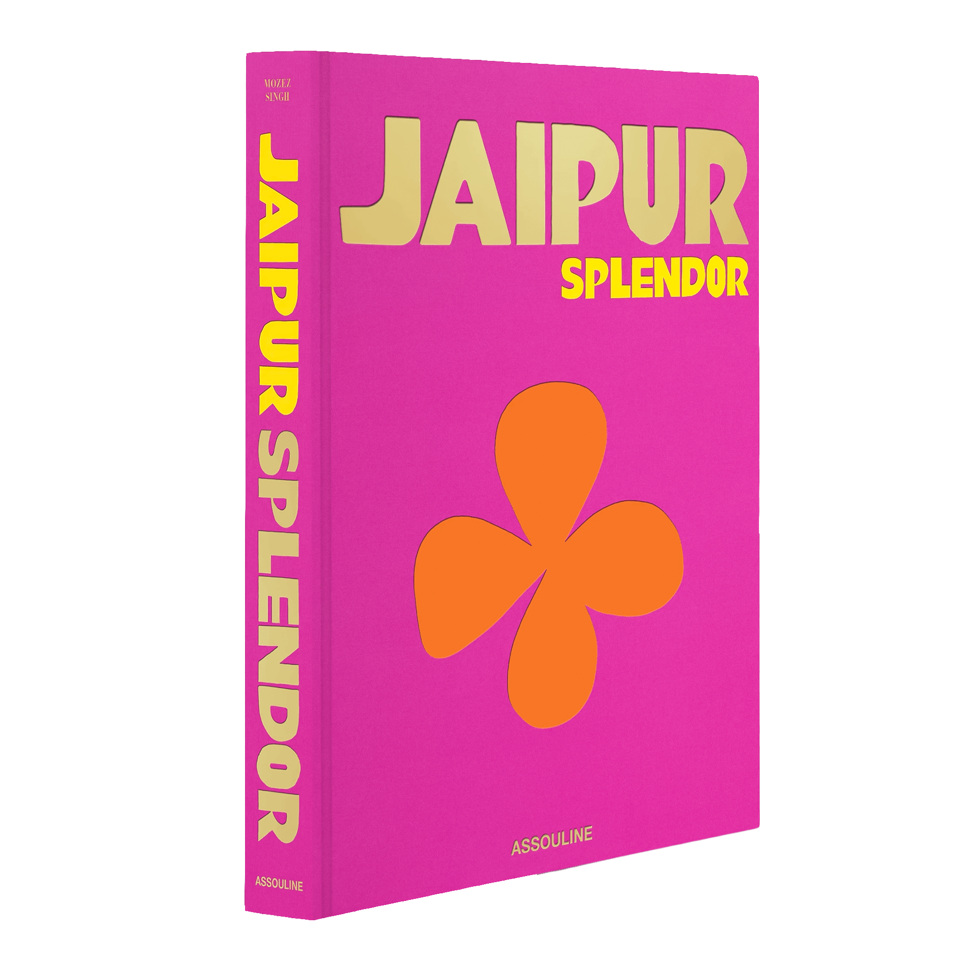 Assouline Coffee Table Book Jaipur
