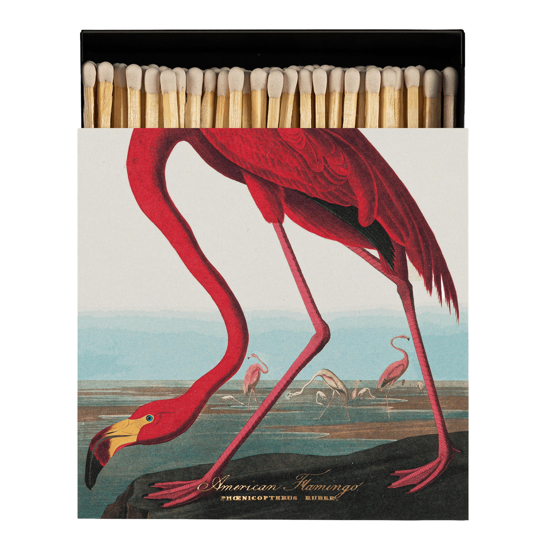 Archivist Streichhölzer American Flamingo