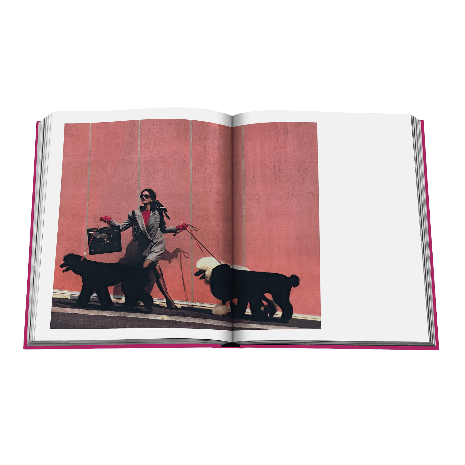 Coffee Table Book Chic Dogs