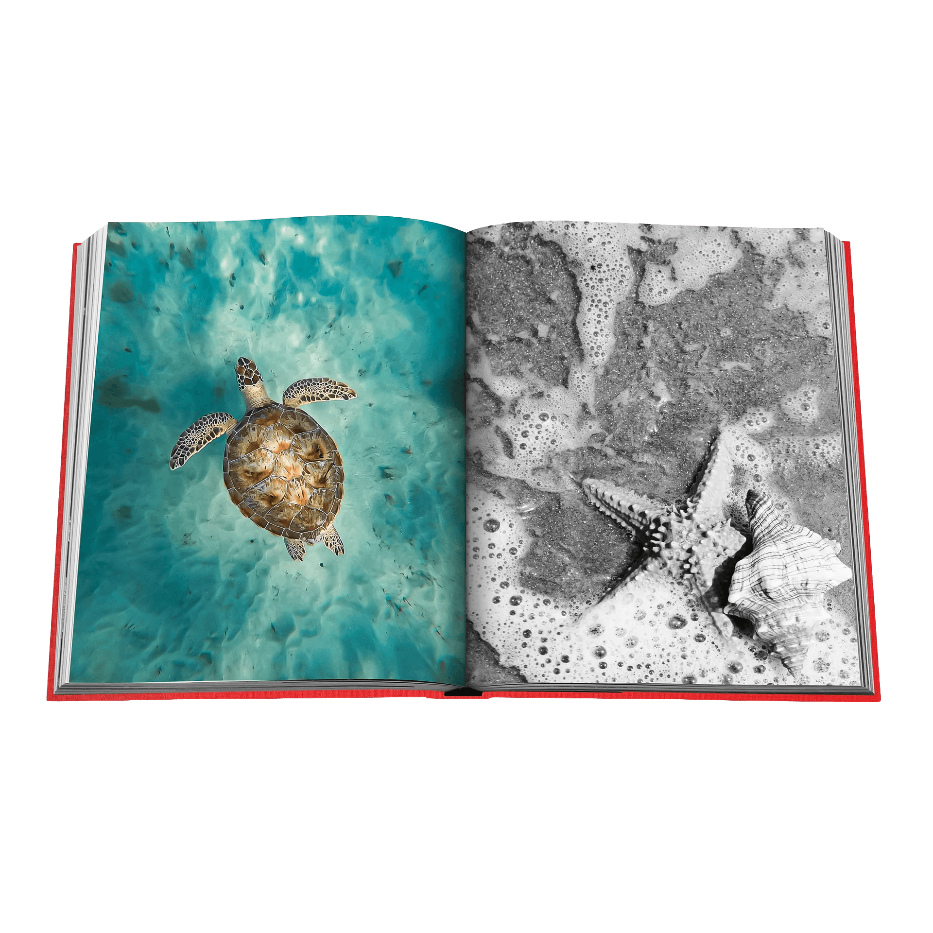 Assouline Coffee Table Book St. Bath