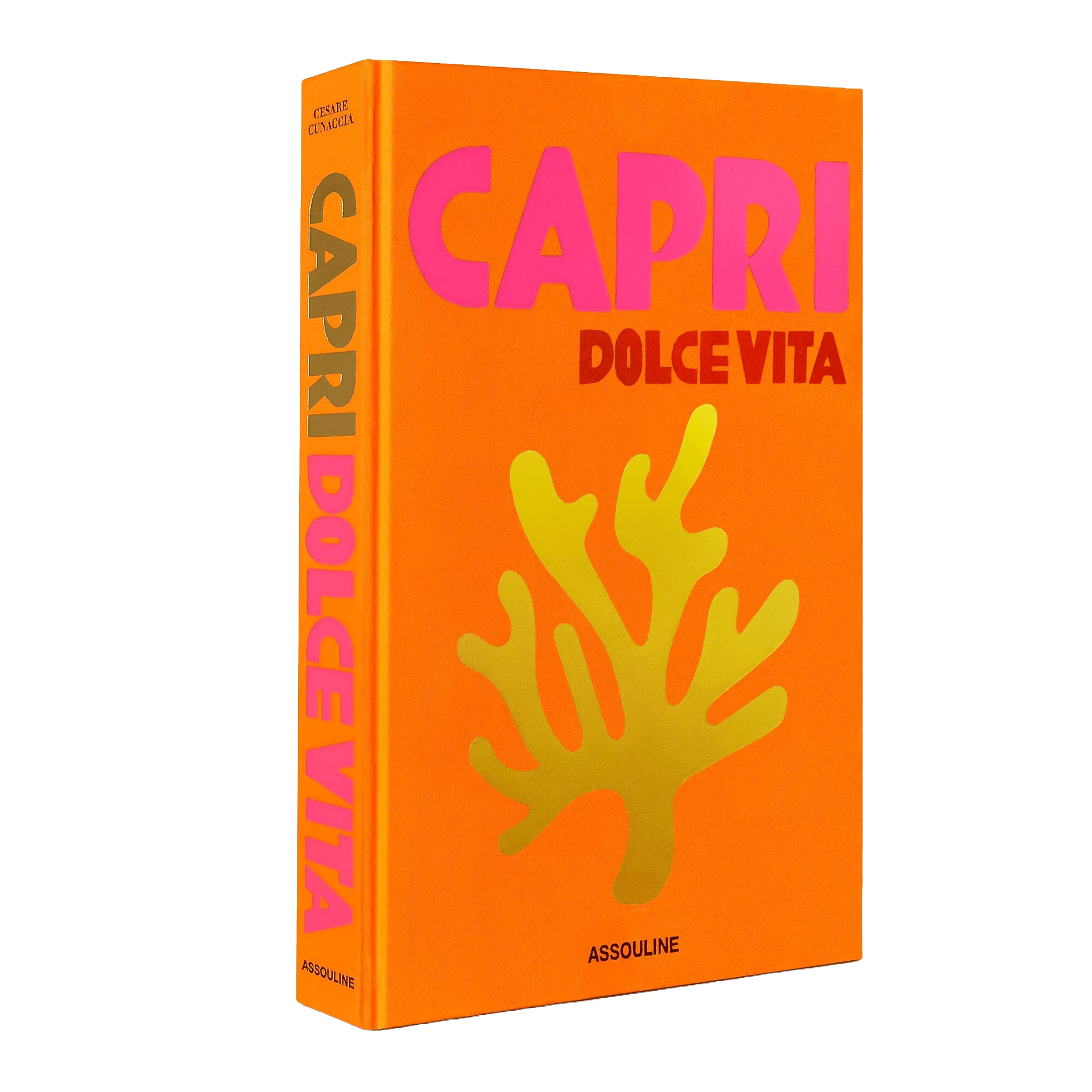 Assouline Coffee Table Book Capri