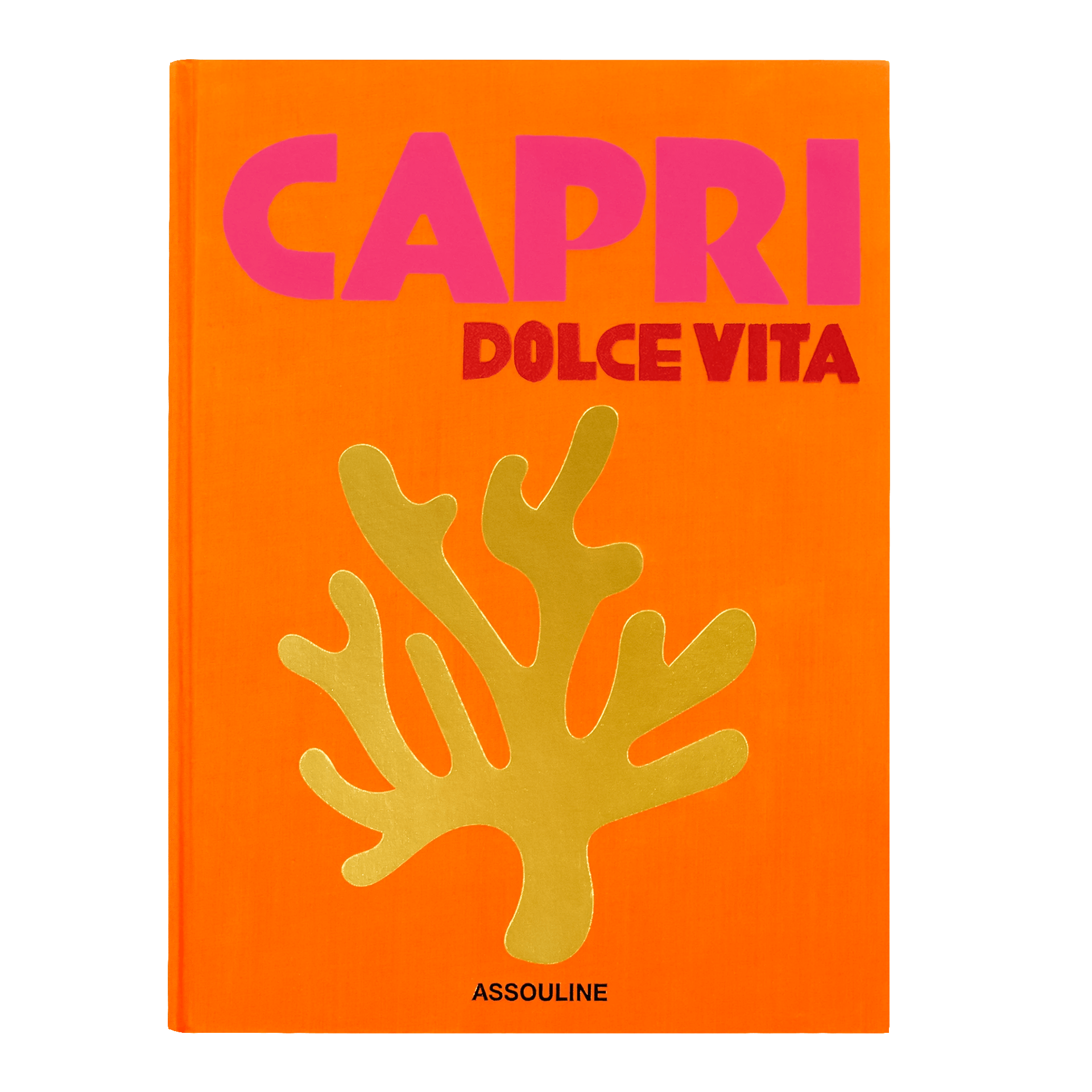 Assouline Coffee Table Book Capri