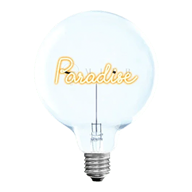 MITB Bulb Paradise