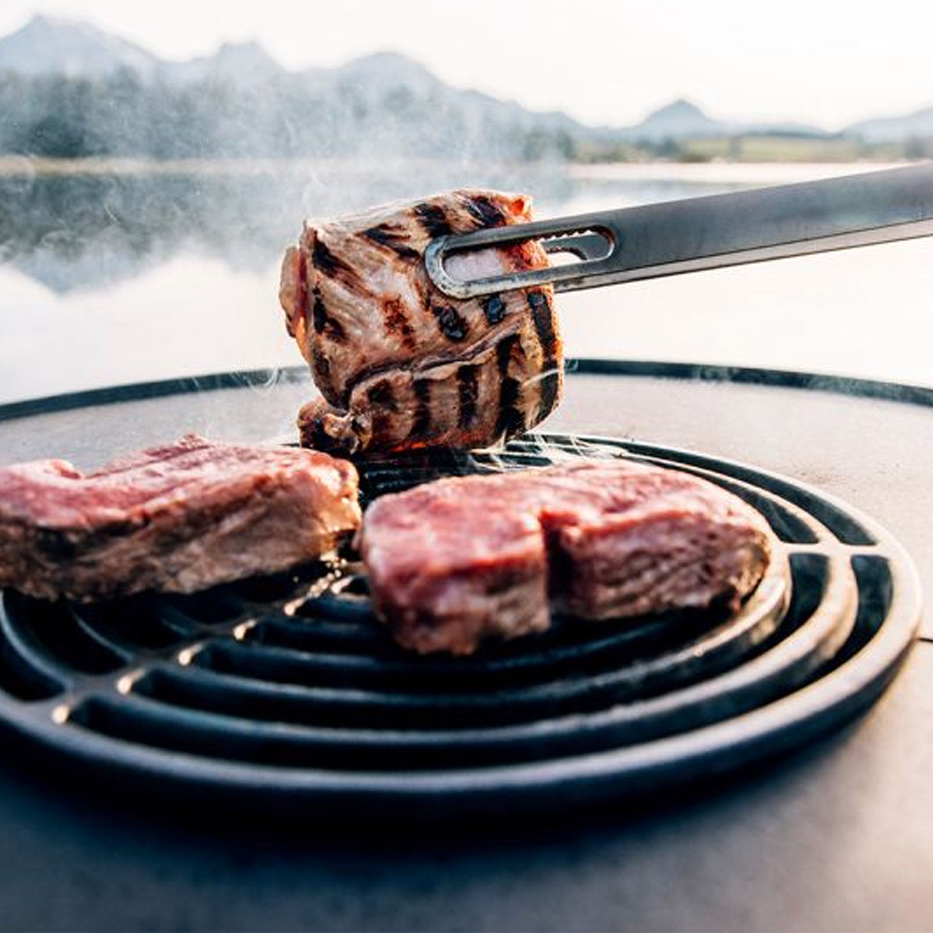 Sear Grate 70, Grill, Steak, Grillplatte, Rindfleisch, Barbecue