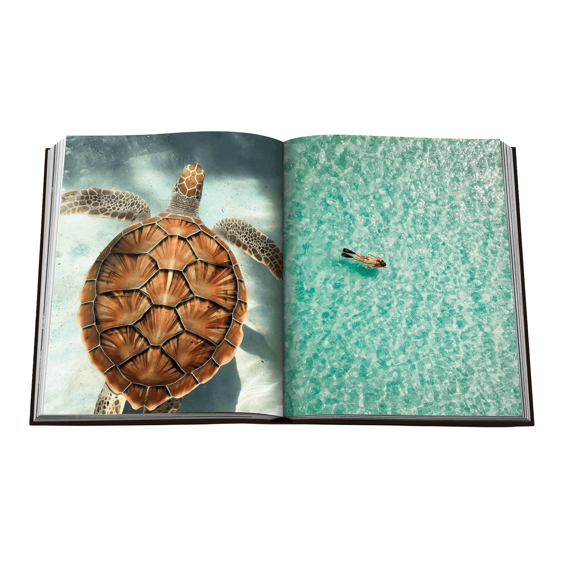 Assouline Coffee Table Book Jamaica