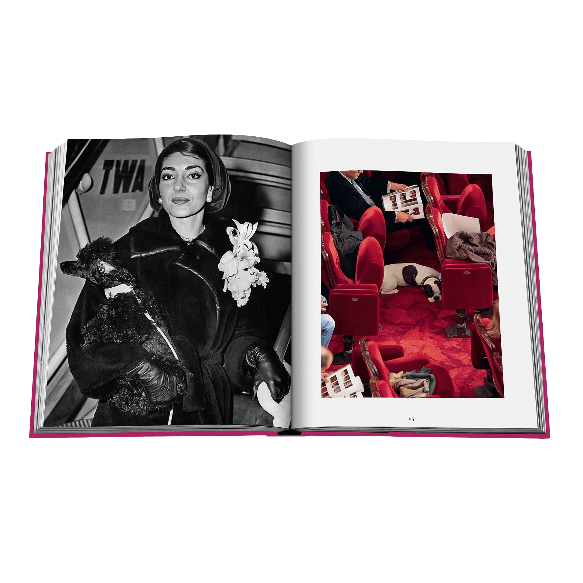 Coffee Table Book Chic Dogs