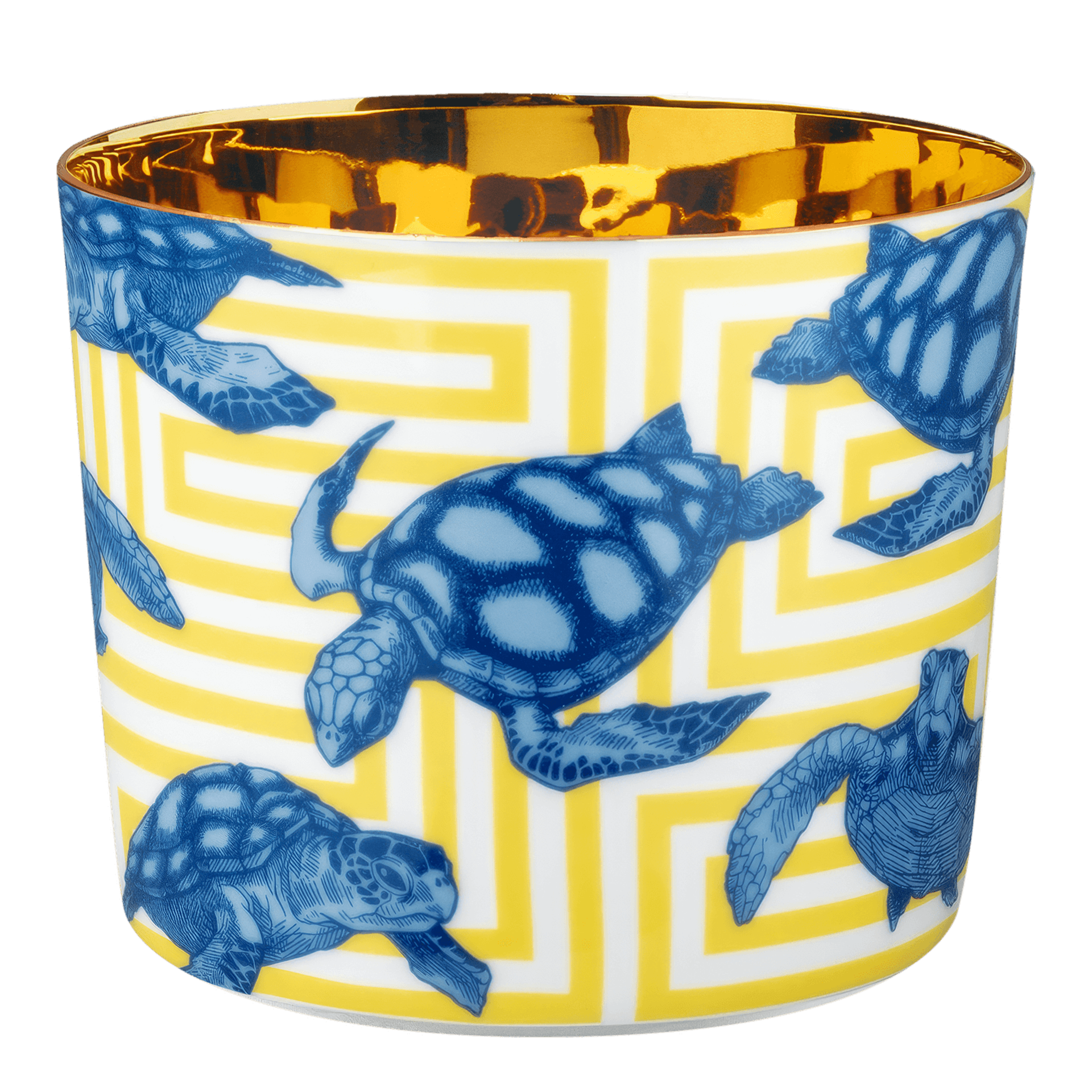 Champagne Goblet The Turtels, Tasse, Kupfer, Mehr?, Tiere, Schildkröten, Gelb-Muster