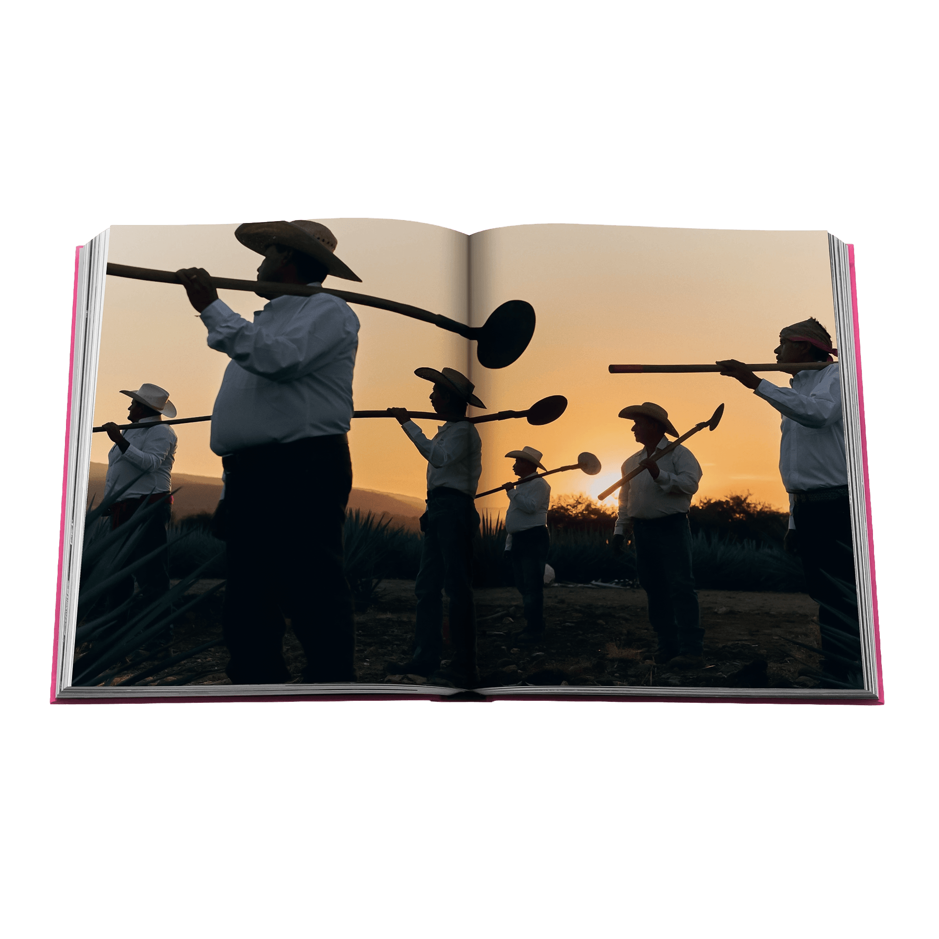 Assouline Coffee Tabel Book The Art of Tequila