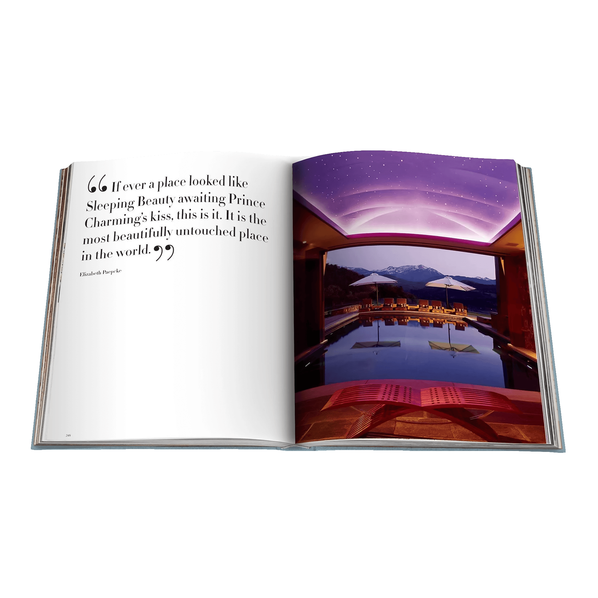Assouline Coffee Table Book Aspen