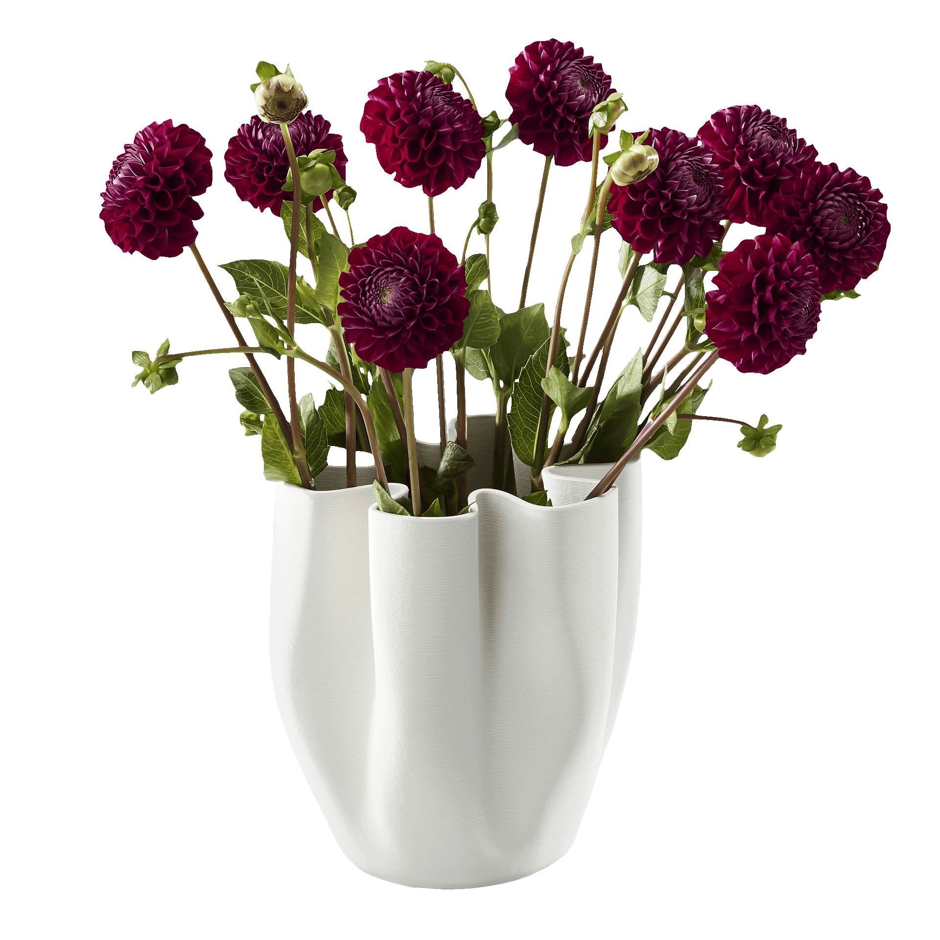 PHILIPPI Livree Vase