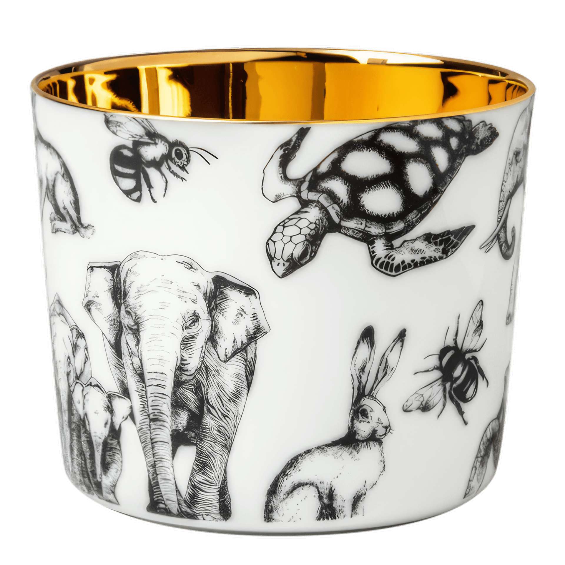 SIEGER by FÜRSTENBERG, Porzellan, Tasse, Tierzierbild, Weiß, Goldrand