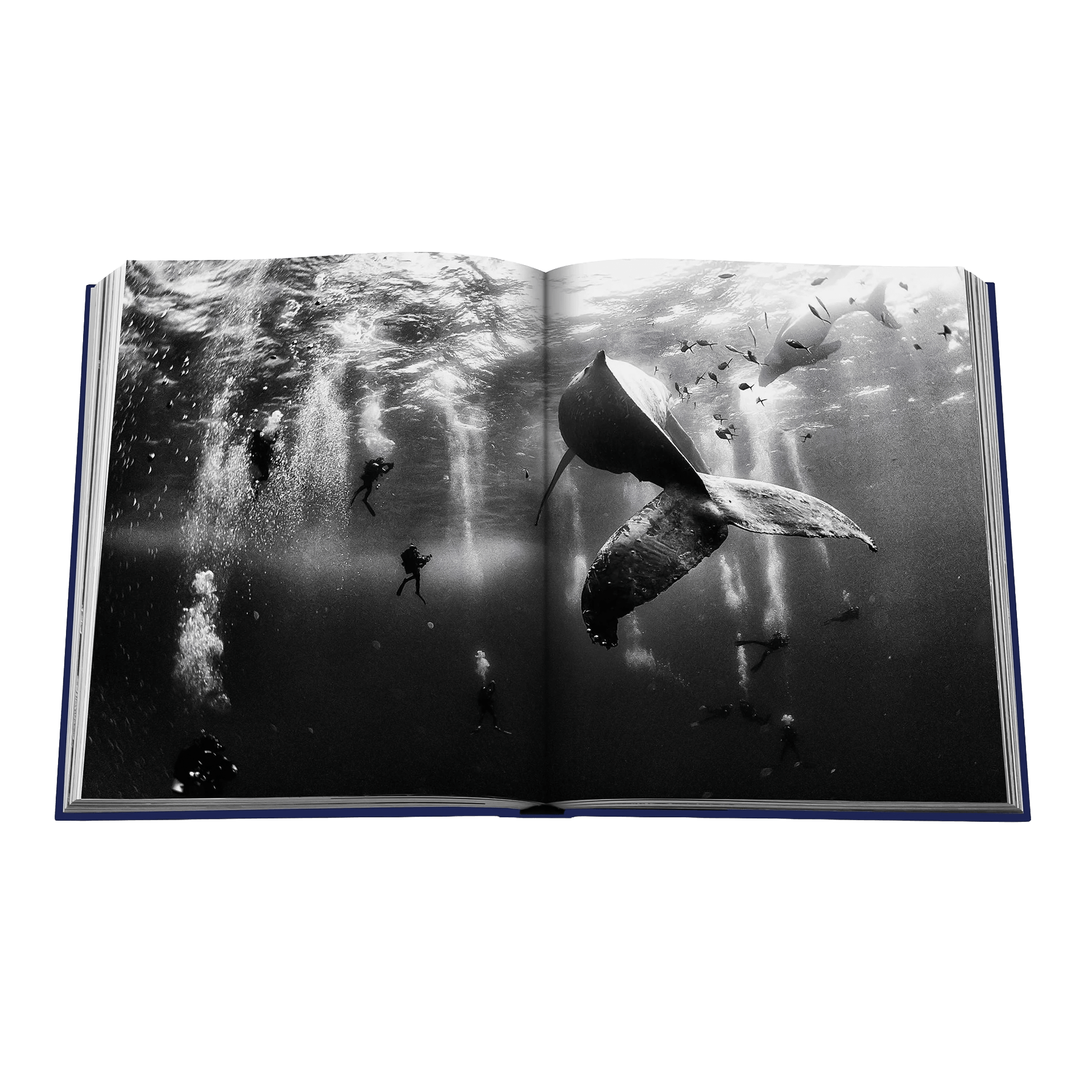 Assouline Coffee Table Book Wanderlust