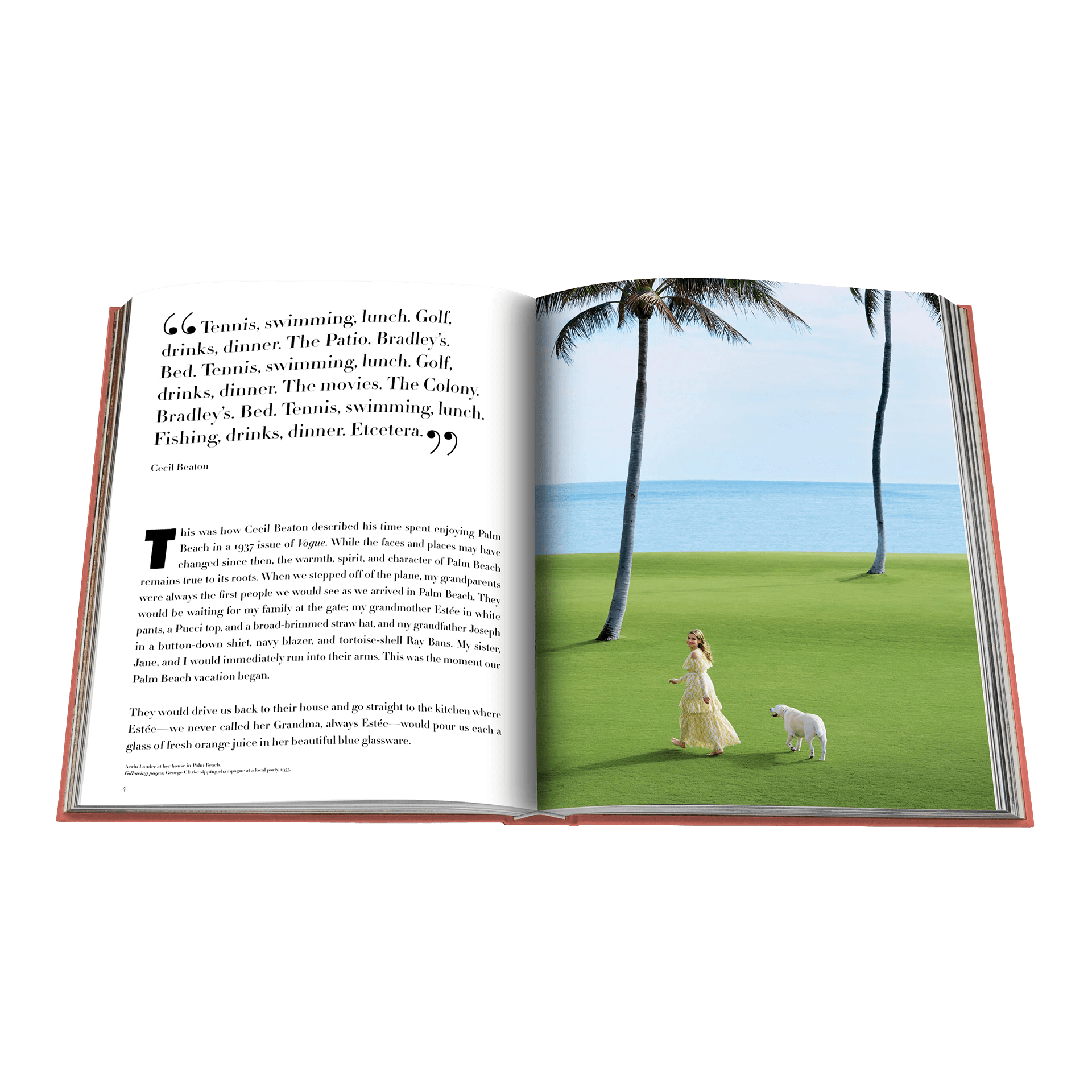 Assouline Coffe Table Book Palm Beach