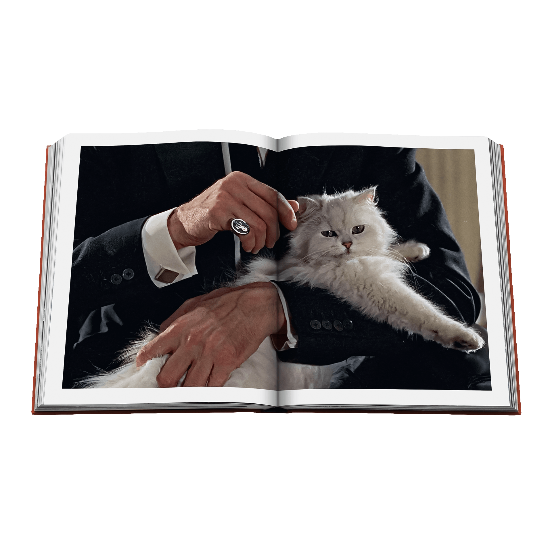 Coffee Table Book Chic Cats