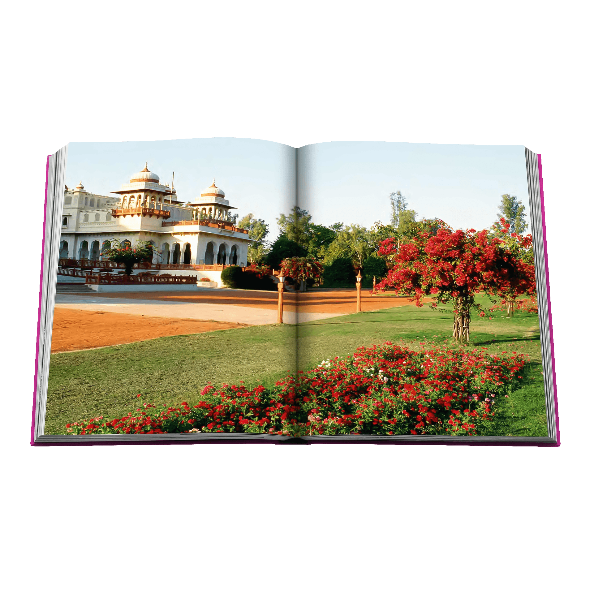 Assouline Coffee Table Book Jaipur