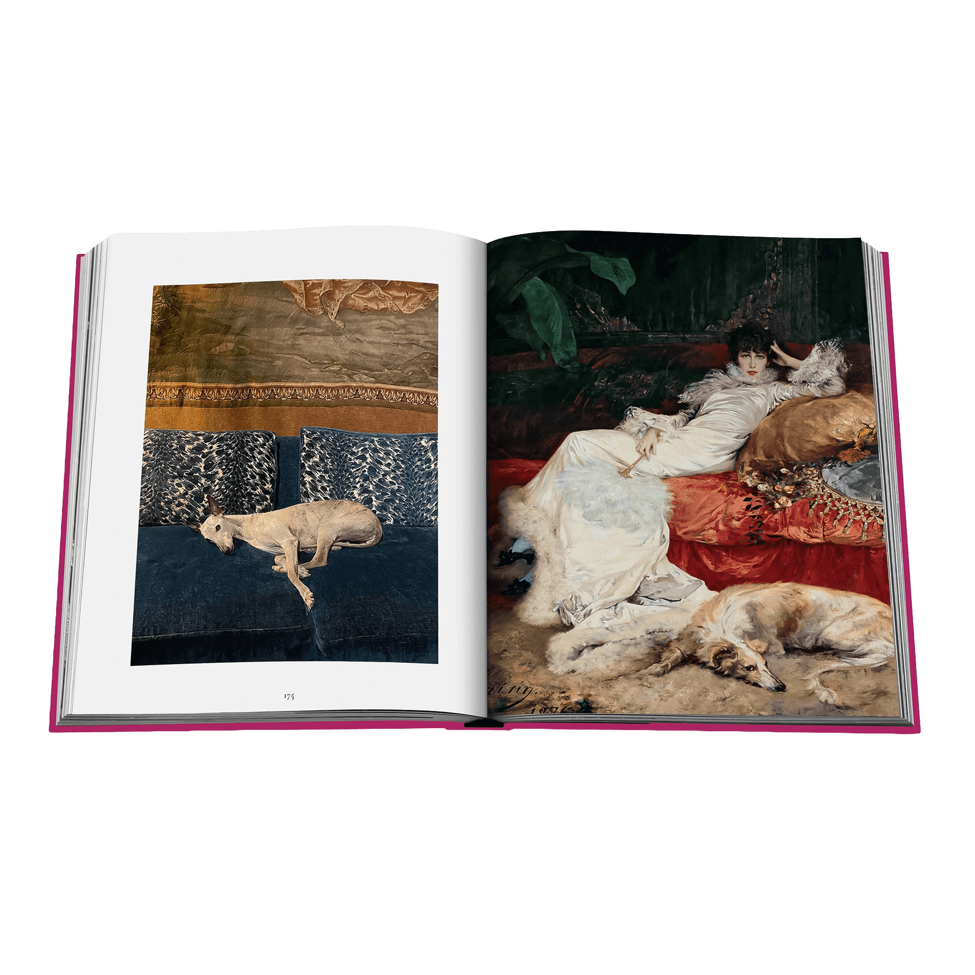 Coffee Table Book Chic Dogs