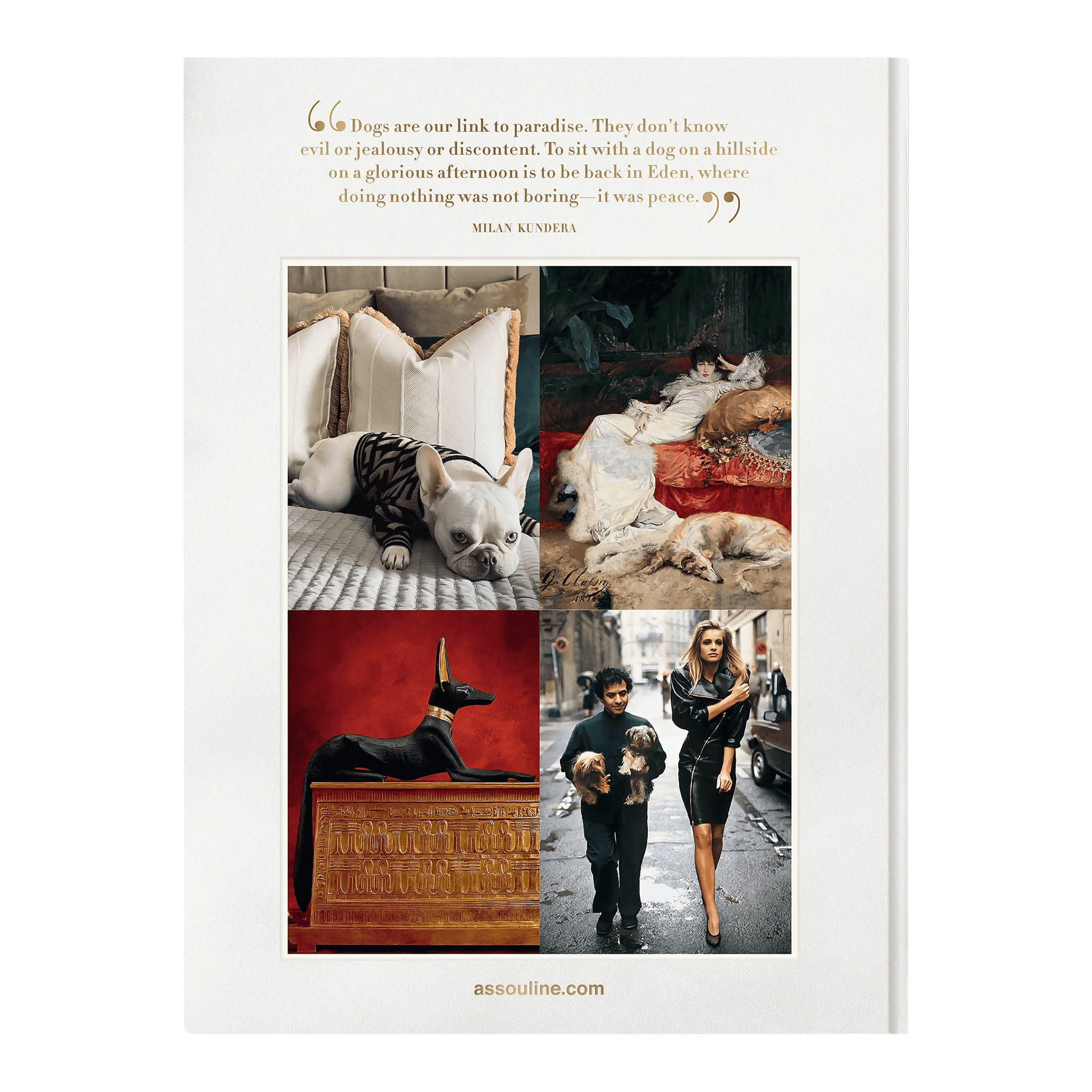 Coffee Table Book Chic Dogs