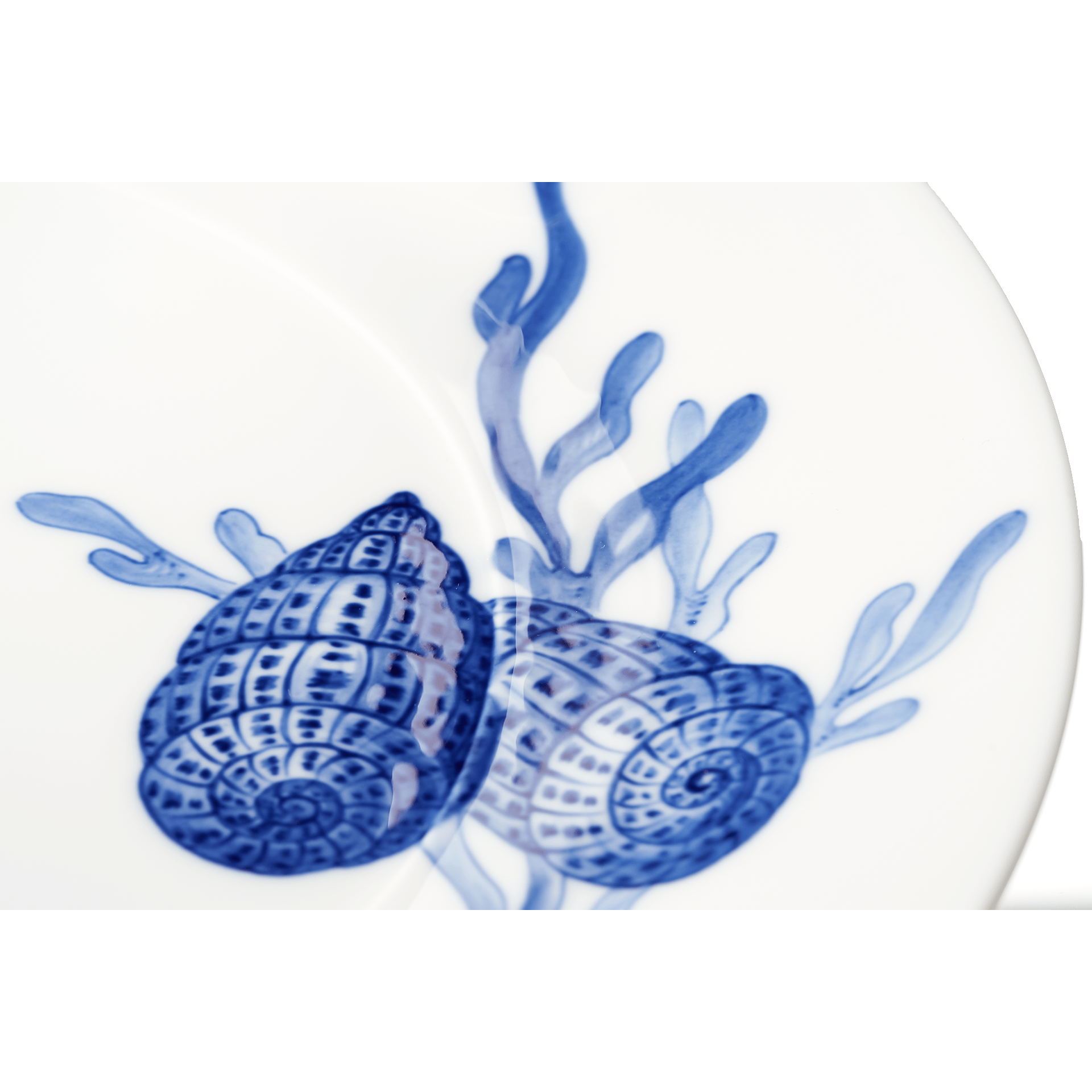Meissen Cosmopolitan Blue Treasure Speiseteller Muschel