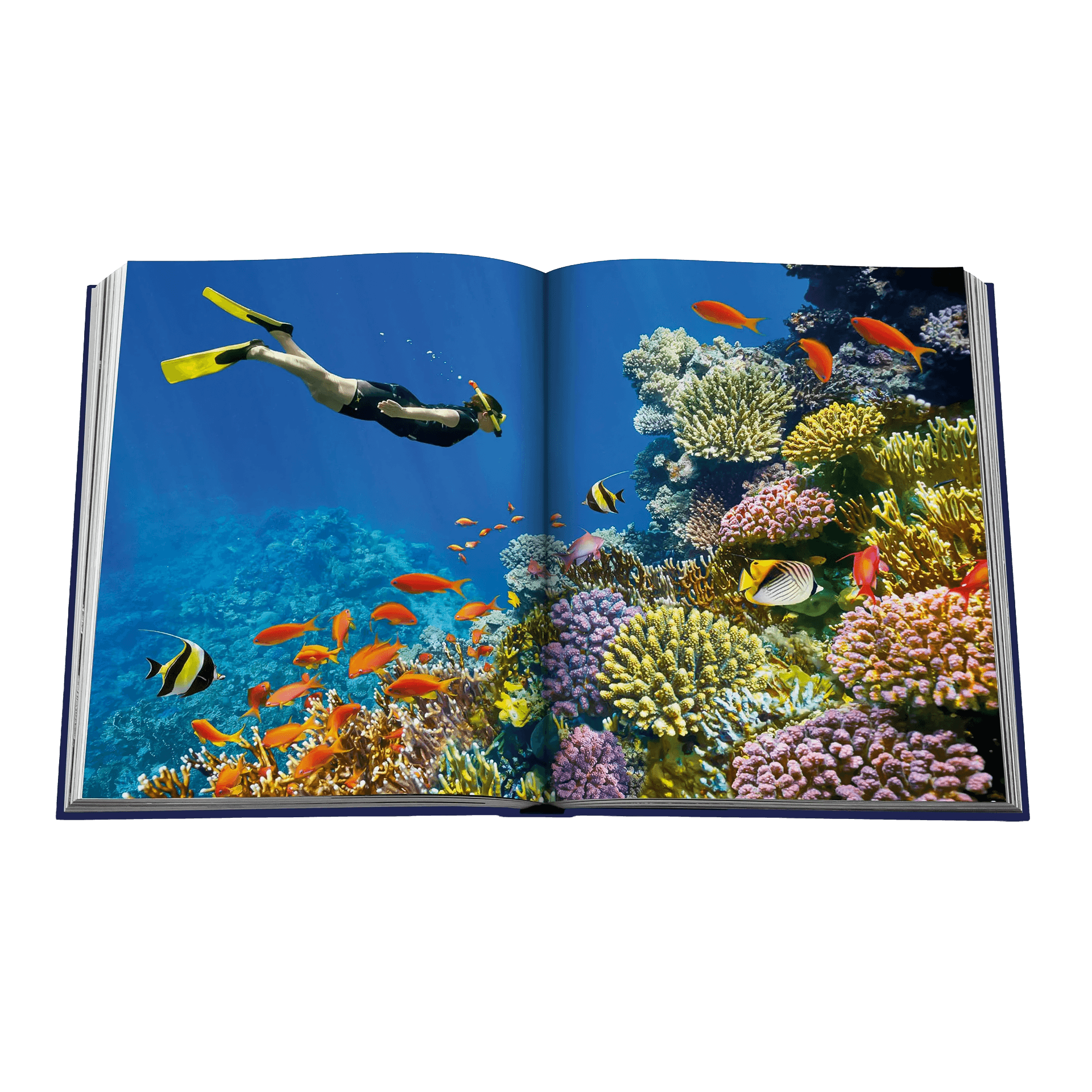 Assouline Coffee Table Book Wanderlust