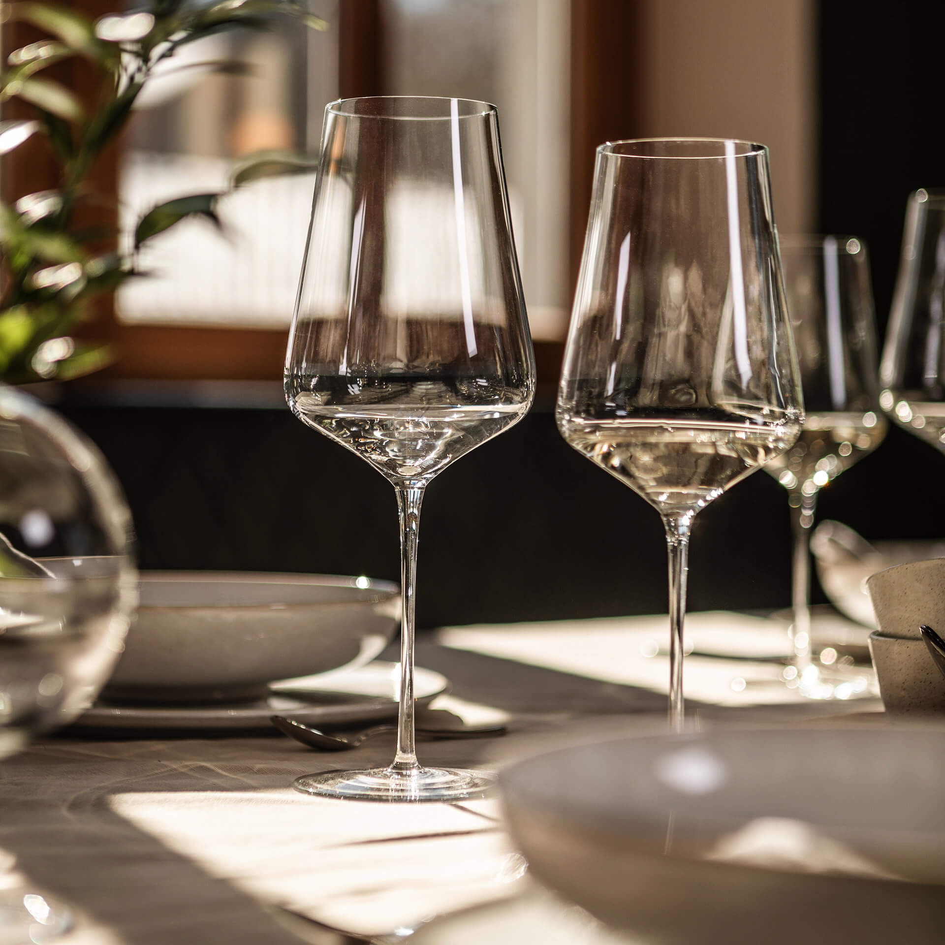 Zwiesel Allround Weinglas DUO