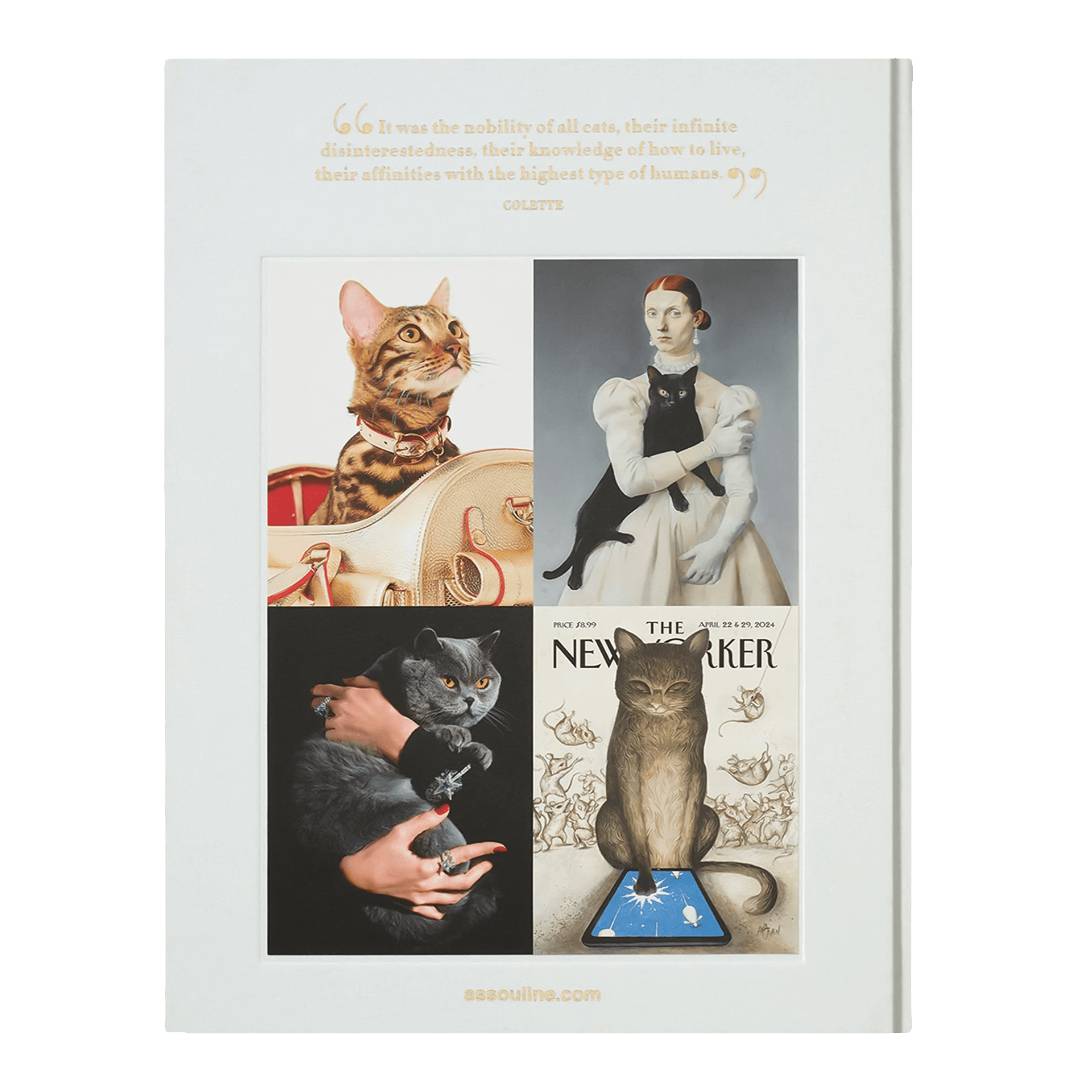 Coffee Table Book Chic Cats