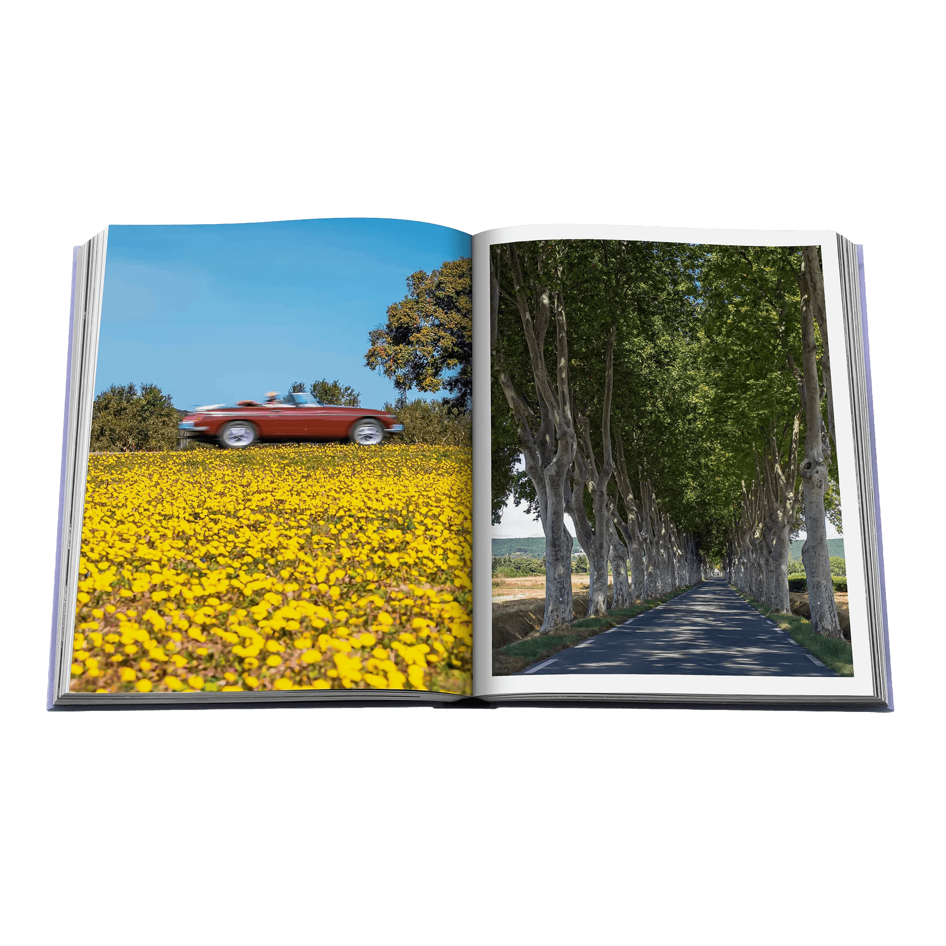 Assouline Coffee Table Book Provence