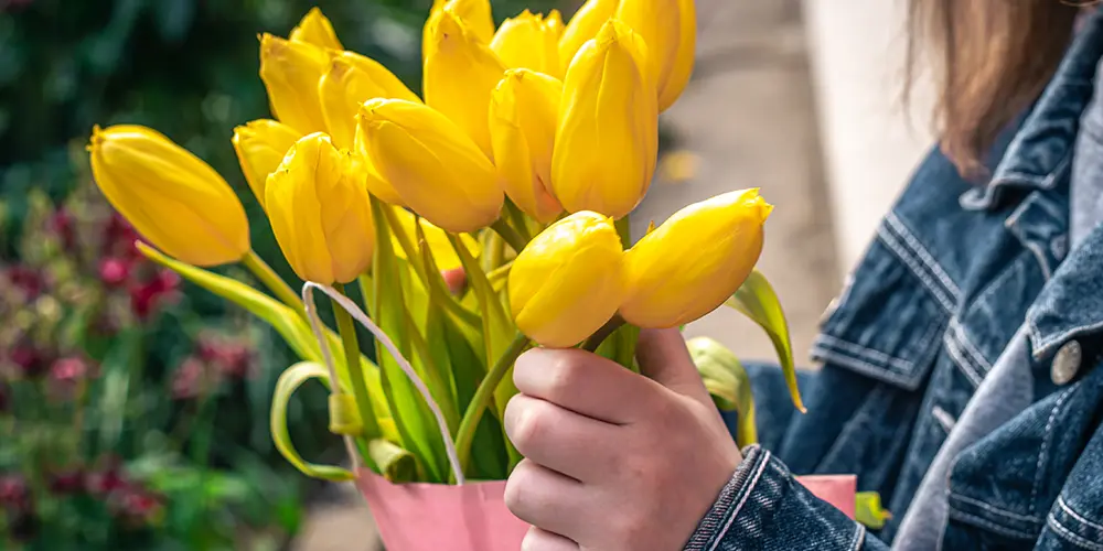 Welche Vase für Tulpen?