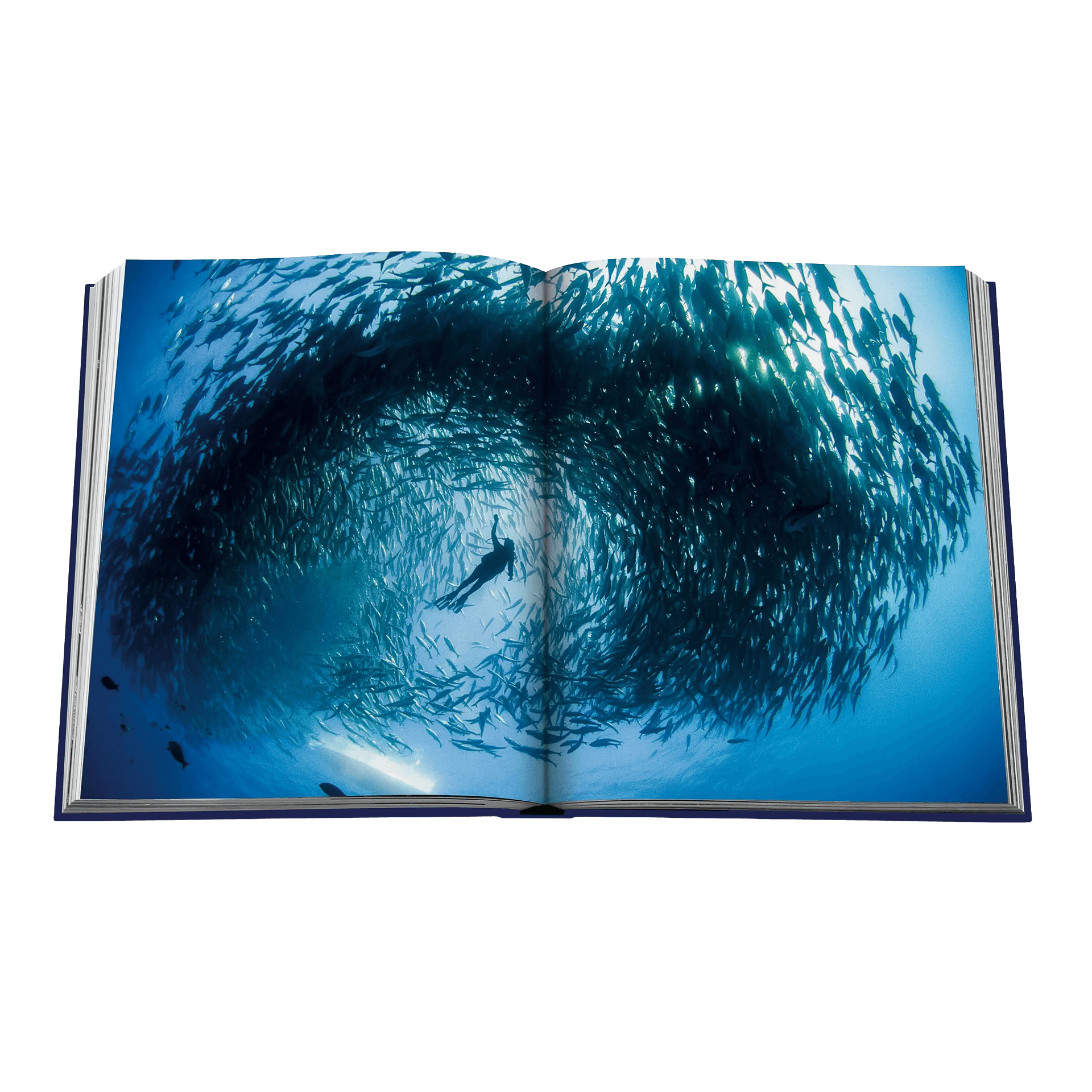 Assouline Coffee Table Book Wanderlust