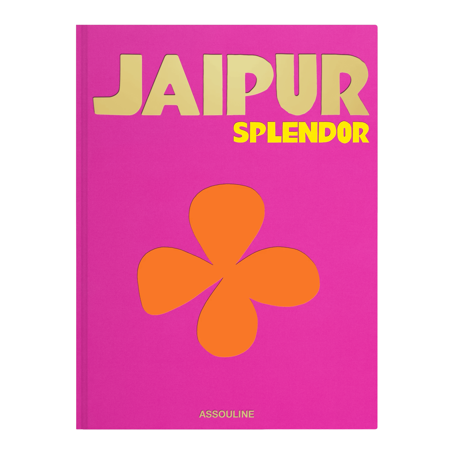 Assouline Coffee Table Book Jaipur
