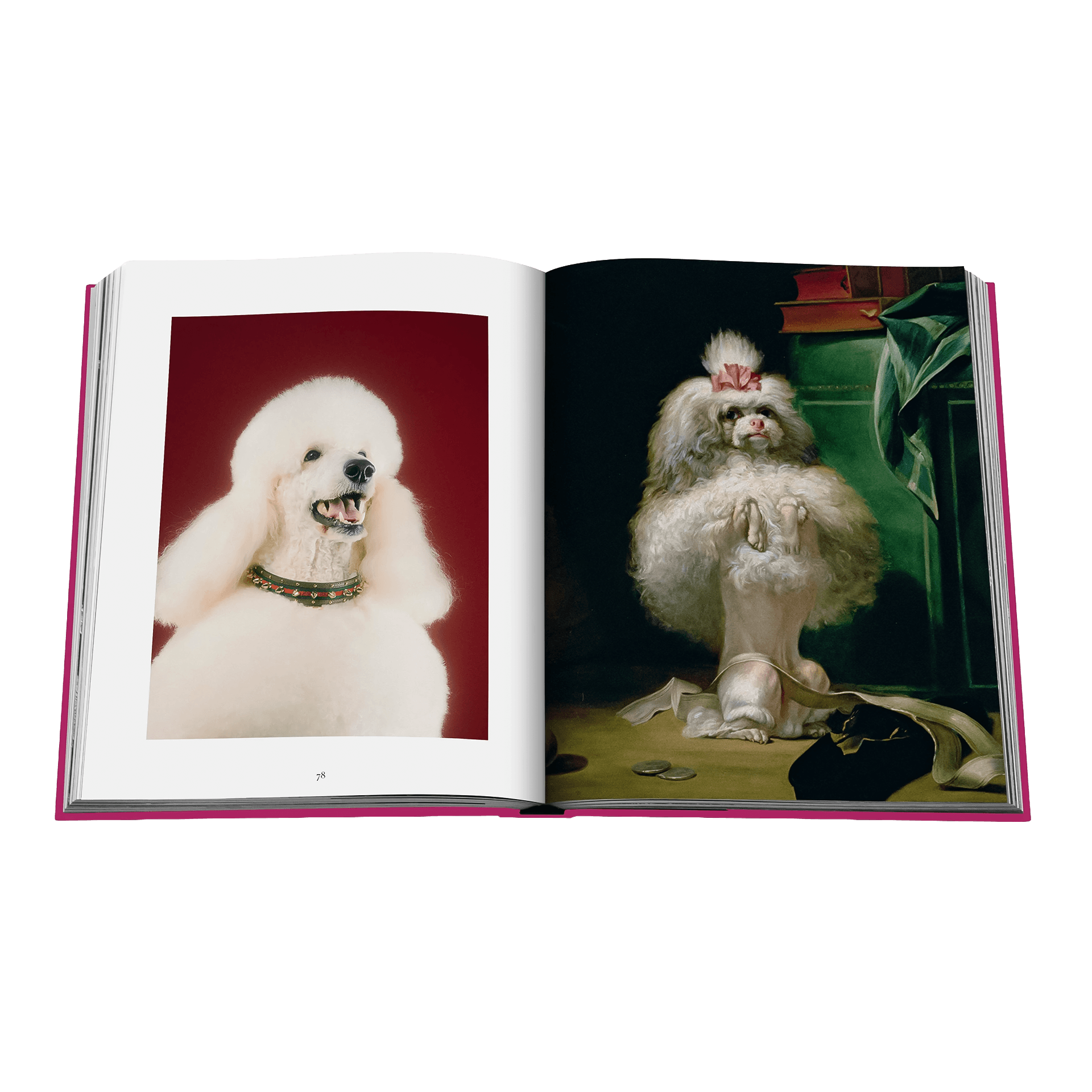 Coffee Table Book Chic Dogs