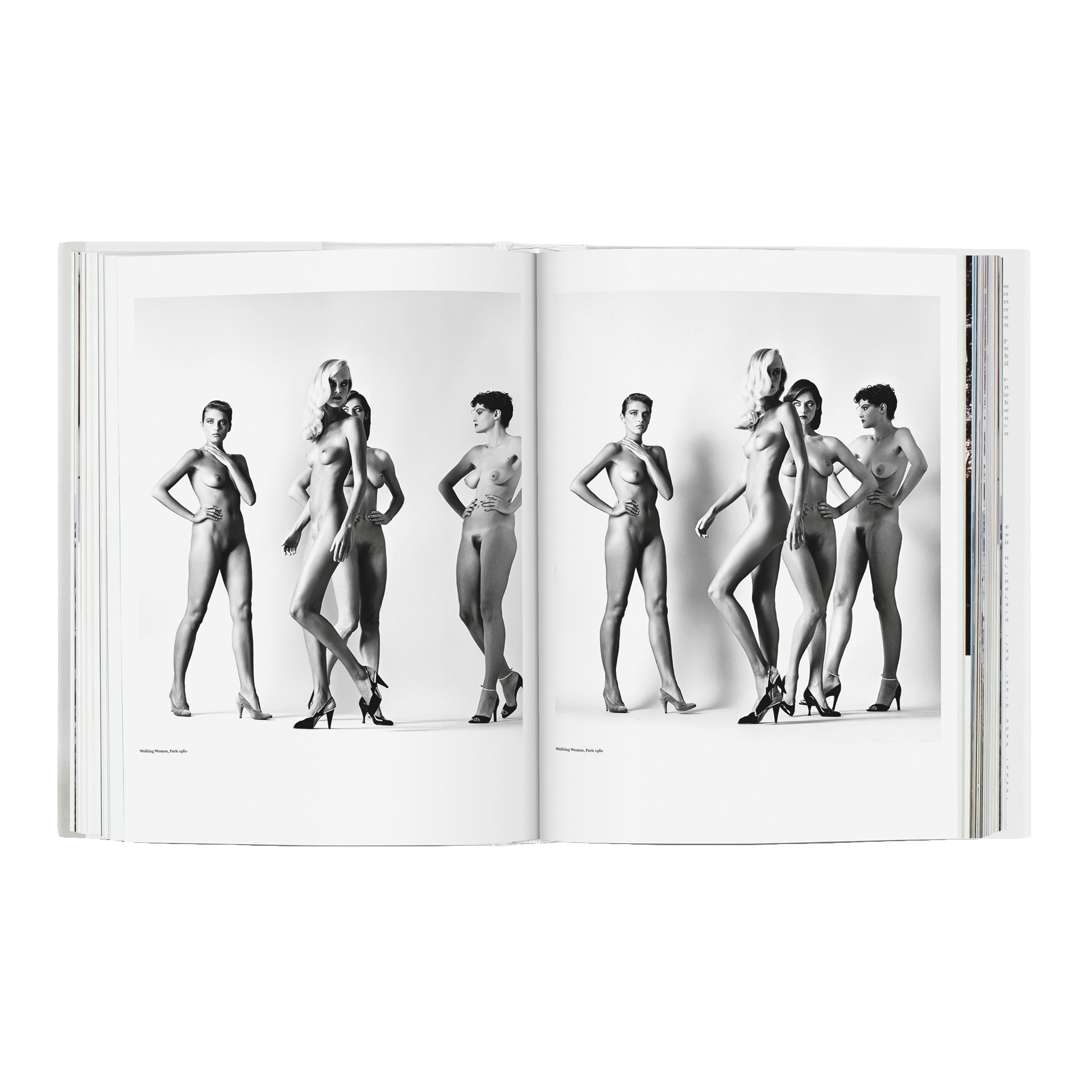 Coffee Table Book Helmut Newton. SUMO, Nacktmodell, Modelle, Körperhaltung, Schwarzweiß, Fotografie