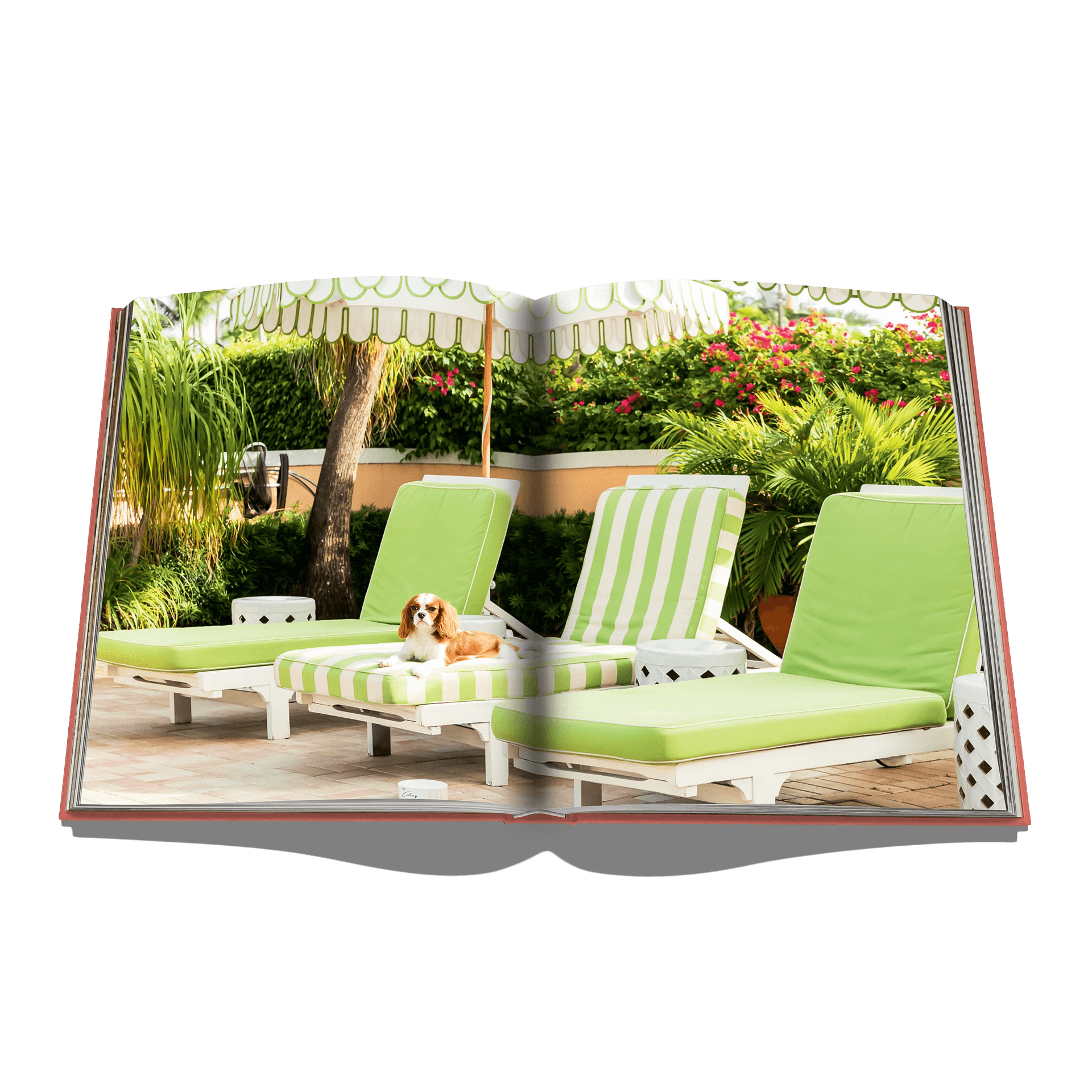Assouline Coffe Table Book Palm Beach