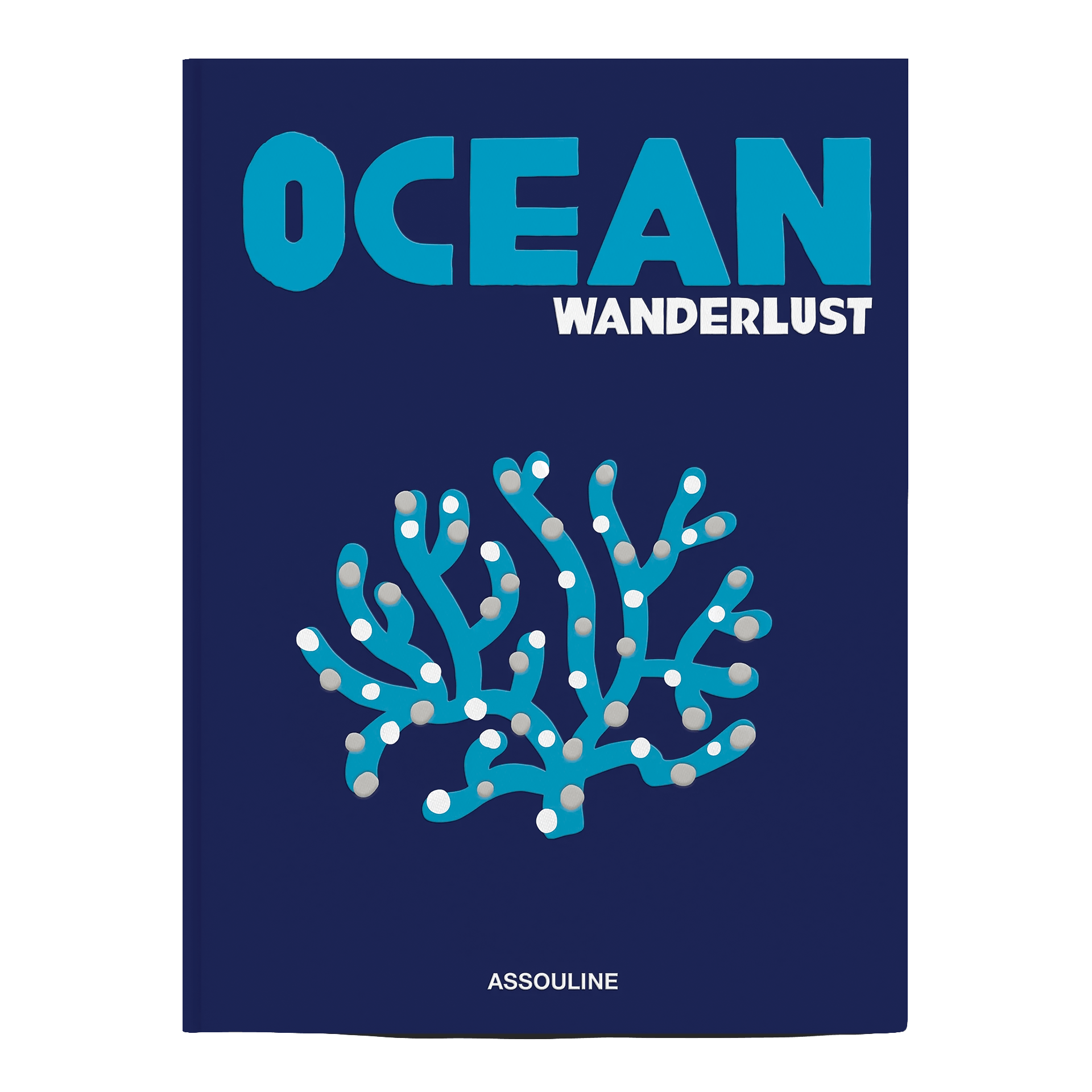 Assouline Coffee Table Book Wanderlust